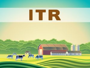 Itr - Minotto Contabilidade